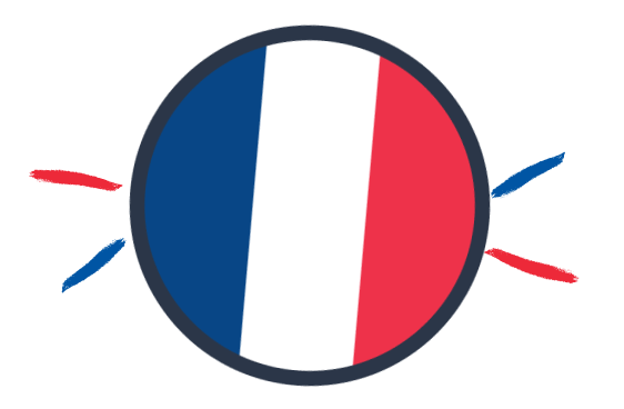 French Language Experts Banner